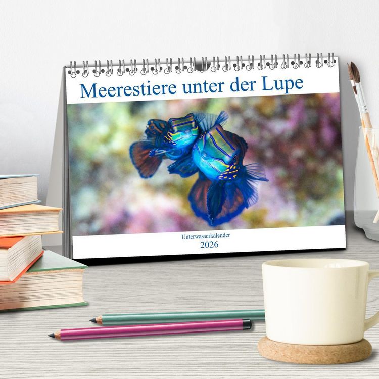 Produktbild: Meerestiere unter der Lupe - Unterwasserkalender (Tischkalender 2026 DIN A5 quer), CALVENDO Monatskalender