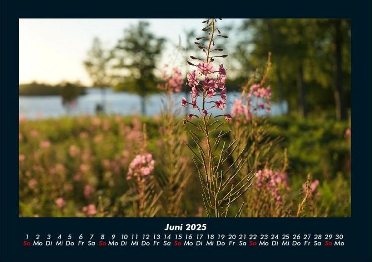 Produktbild: Blumentr&auml;ume 2025 Fotokalender DIN A4