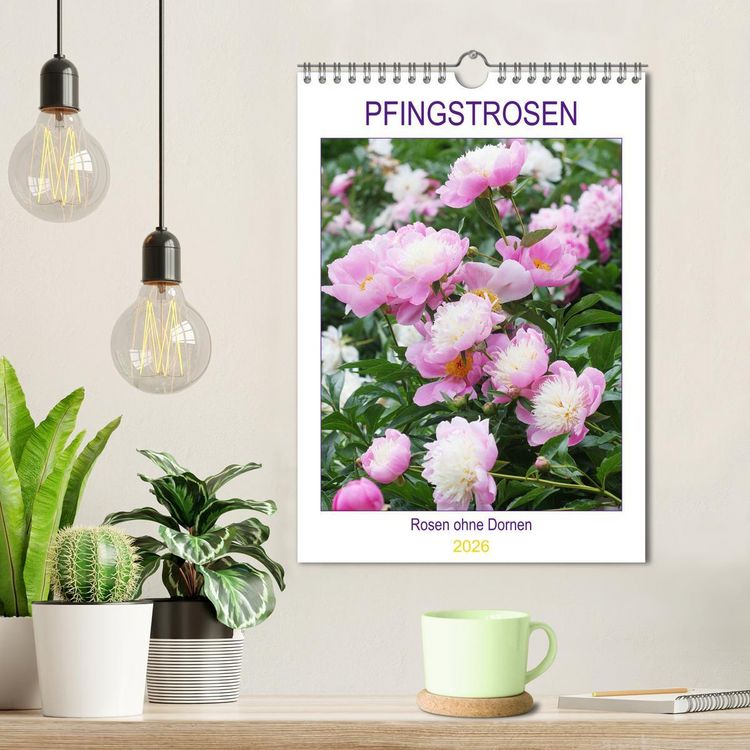 Produktbild: Pfingstrosen Rosen ohne Dornen (Wandkalender 2026 DIN A4 hoch), CALVENDO Monatskalender