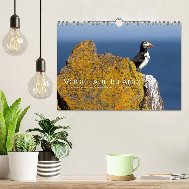 Produktbild: V&ouml;gel auf Island (Wandkalender 2026 DIN A4 quer), CALVENDO Monatskalender