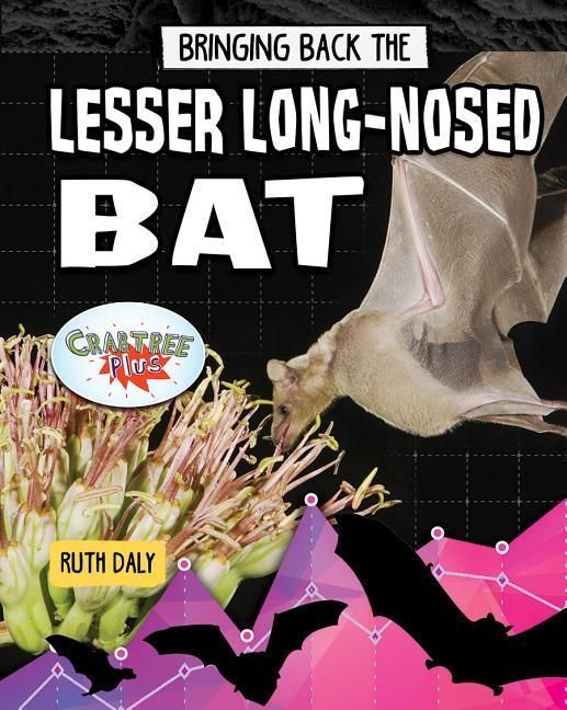 Produktbild: Bringing Back the Lesser Long-Nosed Bat