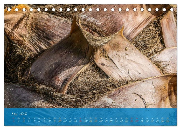 Produktbild: Natur abstrakt Farben und Strukturen (Tischkalender 2026 DIN A5 quer), CALVENDO Monatskalender