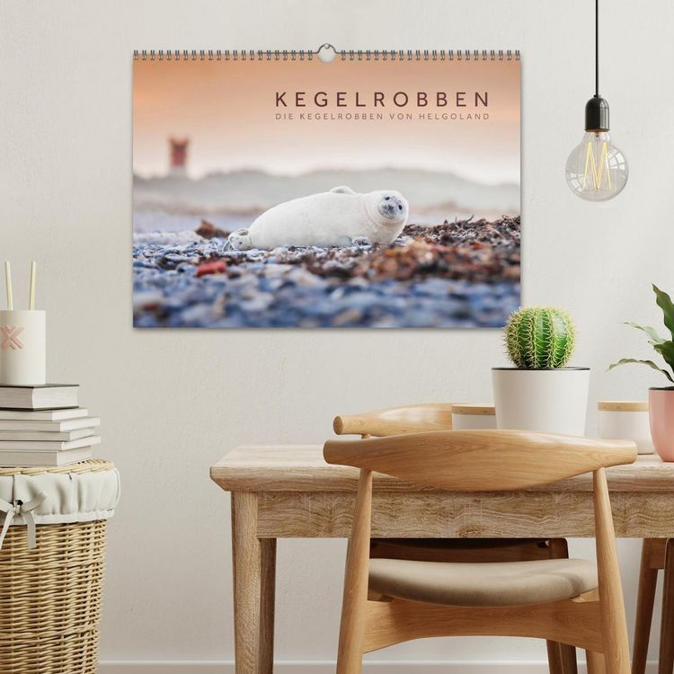 Produktbild: Kegelrobben - Die Kegelrobben von Helgoland (Wandkalender 2026 DIN A3 quer), CALVENDO Monatskalender