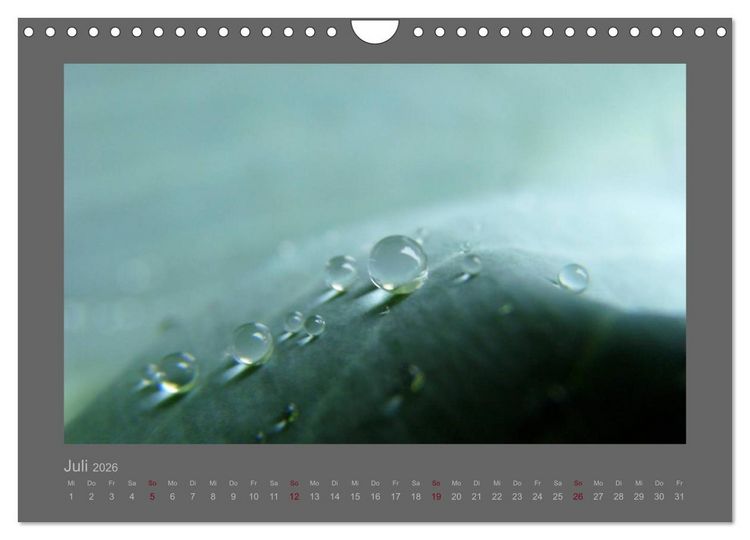 Produktbild: Kleine, gro&szlig;e Tropfenwelt (Wandkalender 2026 DIN A4 quer), CALVENDO Monatskalender
