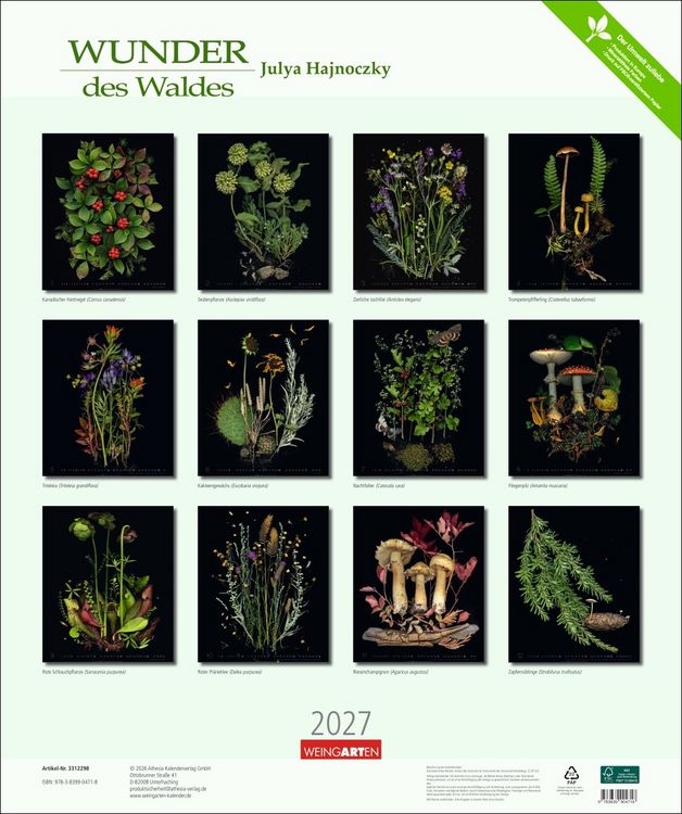 Produktbild: Wunder des Waldes 2027
