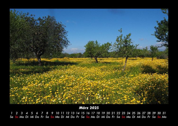 Produktbild: Bilder der Natur 2025 Fotokalender DIN A3