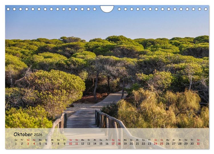 Produktbild: Rota, in Spanien (Wandkalender 2026 DIN A4 quer), CALVENDO Monatskalender