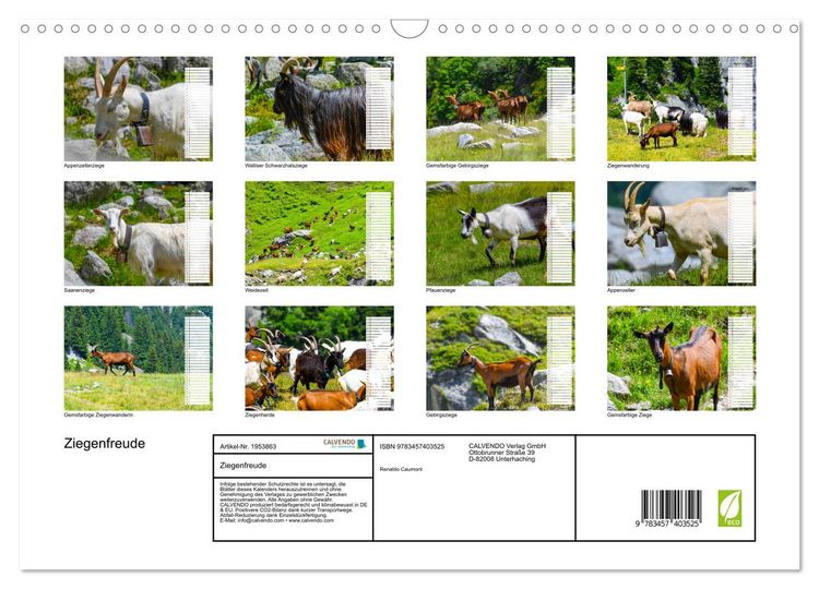 Produktbild: Ziegenfreude (Wandkalender 2026 DIN A3 quer), CALVENDO Monatskalender