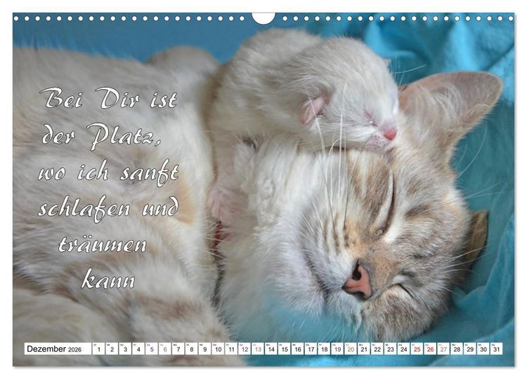Produktbild: Tierbabies - Spruchkalender (Wandkalender 2026 DIN A3 quer), CALVENDO Monatskalender