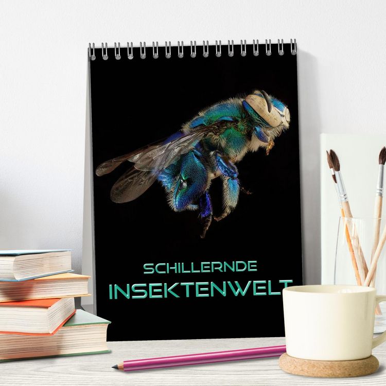 Produktbild: Schillernde Insektenwelt (Tischkalender 2026 DIN A5 hoch), CALVENDO Monatskalender