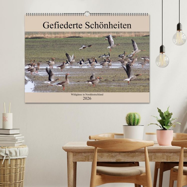 Produktbild: Gefiederte Sch&ouml;nheiten - Wildg&auml;nse in Norddeutschland (Wandkalender 2026 DIN A2 quer), CALVENDO Monatskalender