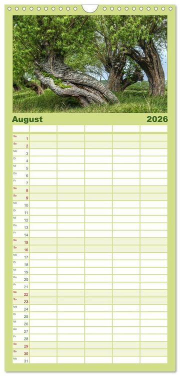 Produktbild: Familienplaner 2026 - Baum-Variationen mit 5 Spalten (Wandkalender, 21 x 45 cm) CALVENDO