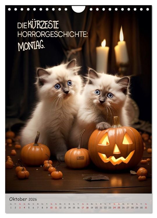 Produktbild: COOLE KATZEN Spr&uuml;cheklopfer (Wandkalender 2026 DIN A4 hoch), CALVENDO Monatskalender