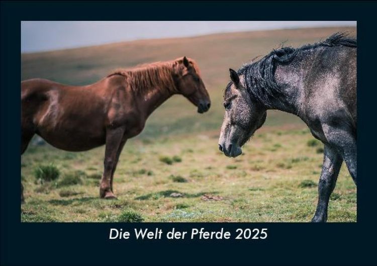 Produktbild: Die Welt der Pferde 2025 Fotokalender DIN A5