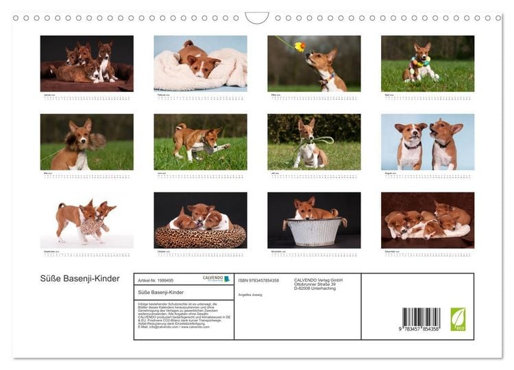 Produktbild: S&uuml;&szlig;e Basenji-Kinder (Wandkalender 2026 DIN A3 quer), CALVENDO Monatskalender
