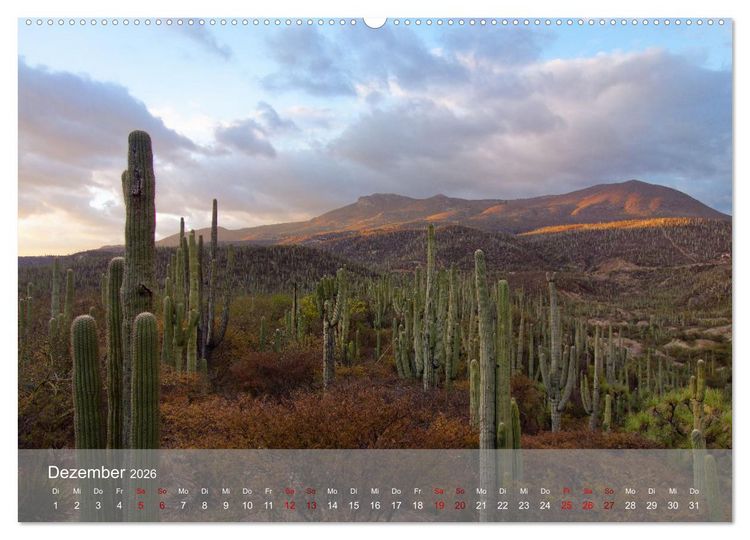 Produktbild: Bekanntes und Unbekanntes MEXIKO (Wandkalender 2026 DIN A2 quer), CALVENDO Monatskalender
