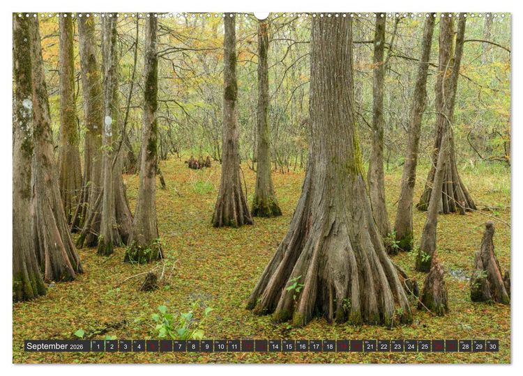 Produktbild: Natur Paradies Mississippi Delta (hochwertiger Premium Wandkalender 2026 DIN A2 quer), Kunstdruck in Hochglanz