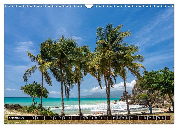 Produktbild: Guadeloupe (Calendrier mural 2026 DIN A3 vertical), CALVENDO calendrier mensuel