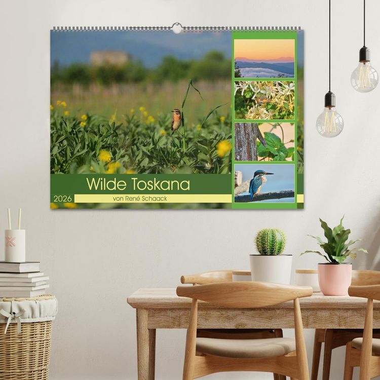 Produktbild: Wilde Toskana - von Ren&eacute; Schaack (Wandkalender 2026 DIN A2 quer), CALVENDO Monatskalender