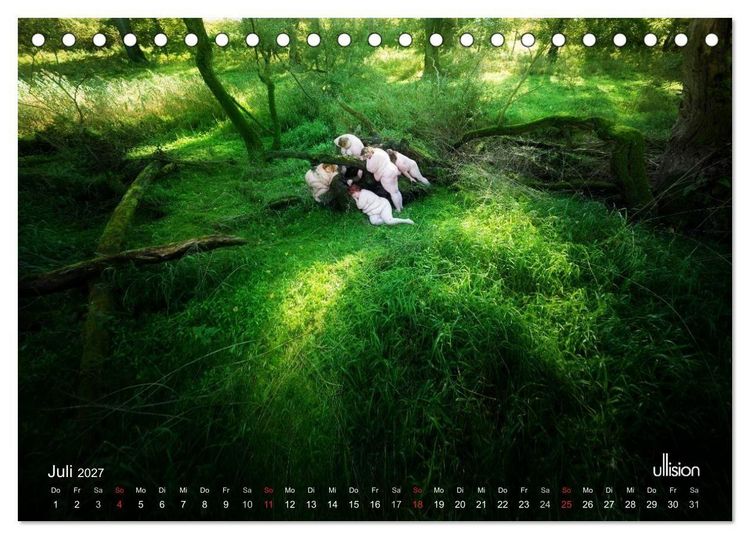 Produktbild: Mothers of Earth, das Leben kann soo prachtvoll sein ! (Tischkalender 2027 DIN A5 quer), CALVENDO Monatskalender