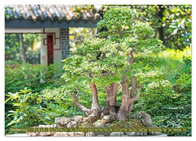 Produktbild: Gartenkunst aus Japan: Bonsai (Wandkalender 2026 DIN A3 quer), CALVENDO Monatskalender