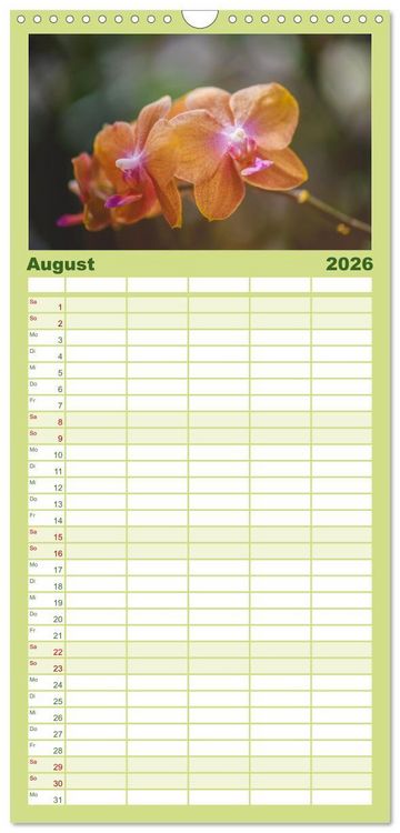 Produktbild: Familienplaner 2026 - Im Schatten der Orchidee mit 5 Spalten (Wandkalender, 21 x 45 cm) CALVENDO