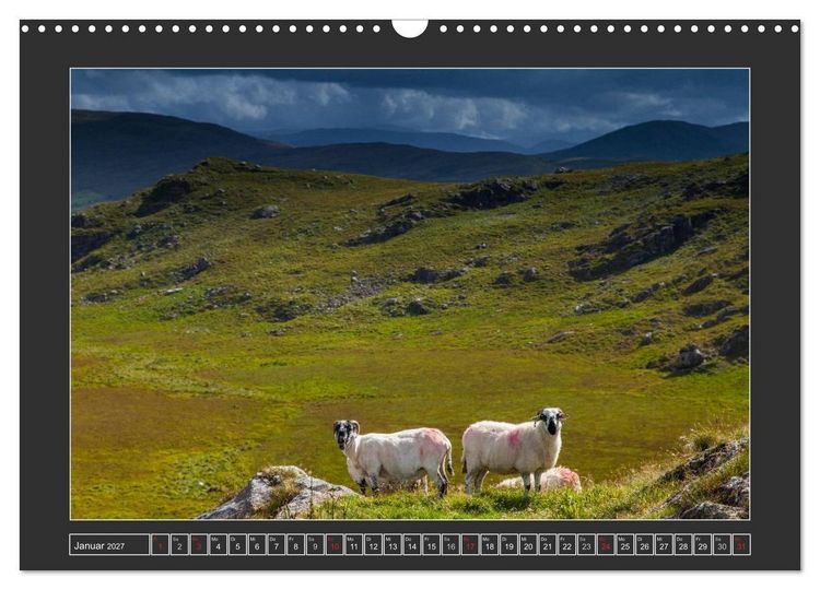 Produktbild: IRLAND - Insel der gl&uuml;cklichen Schafe (Wandkalender 2027 DIN A3 quer), CALVENDO Monatskalender