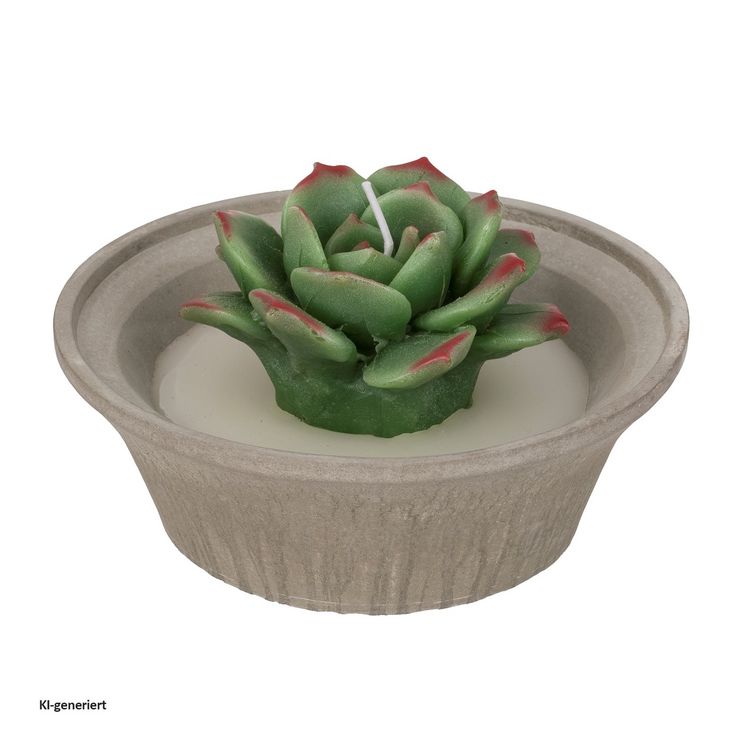 Produktbild: HTI-Living Kerze 1 St&uuml;ck Sukkulente HTI-Living Kerze 1 St&uuml;ck Sukkulente HTI-Living