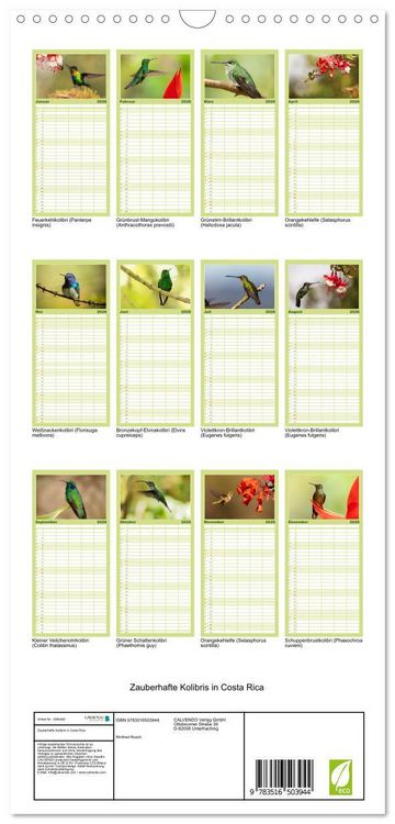 Produktbild: Familienplaner 2026 - Zauberhafte Kolibris in Costa Rica mit 5 Spalten (Wandkalender, 21 x 45 cm) CALVENDO