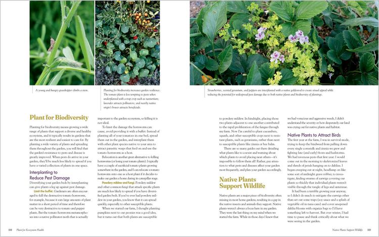Produktbild: The Regenerative Gardener's Handbook