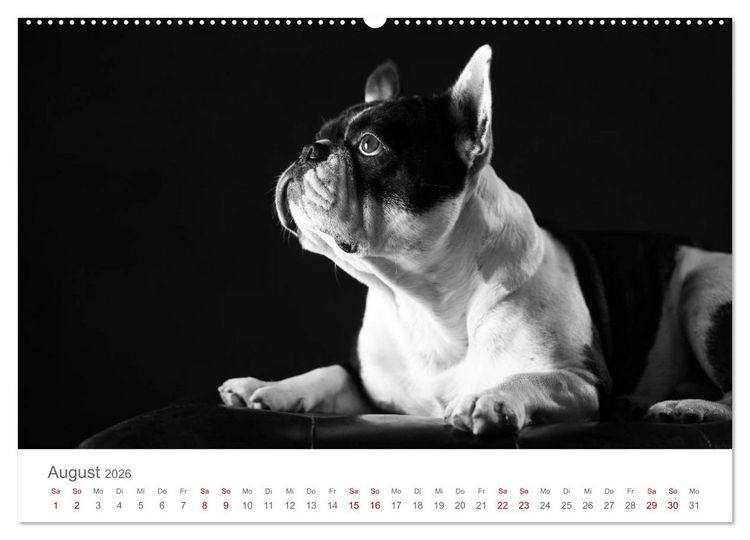 Produktbild: Hundeportraits Fine Art (hochwertiger Premium Wandkalender 2026 DIN A2 quer), Kunstdruck in Hochglanz