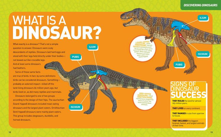 Produktbild: National Geographic Kids Ultimate Dinopedia, 2nd Edition