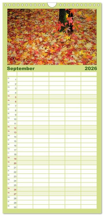 Produktbild: Familienplaner 2026 - B&auml;ume 2026 mit 5 Spalten (Wandkalender, 21 x 45 cm) CALVENDO