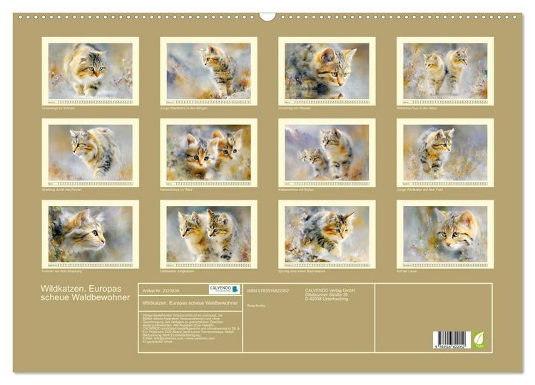 Produktbild: Wildkatzen. Europas scheue Waldbewohner (Wandkalender 2027 DIN A2 quer), CALVENDO Monatskalender