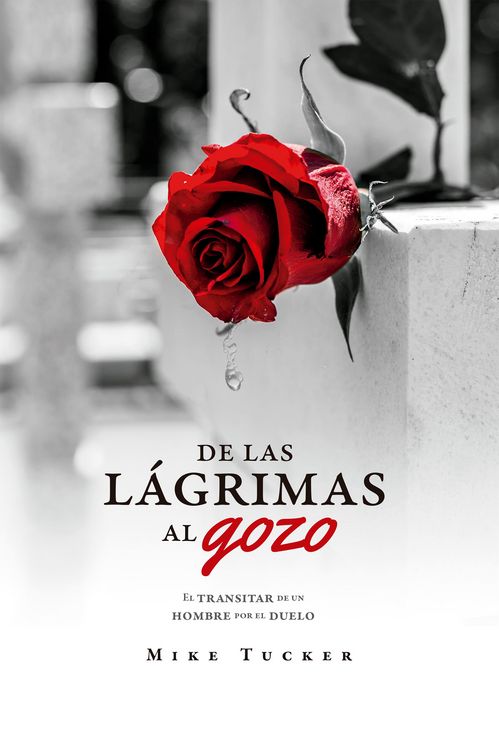 Produktbild: De las l&aacute;grimas al gozo