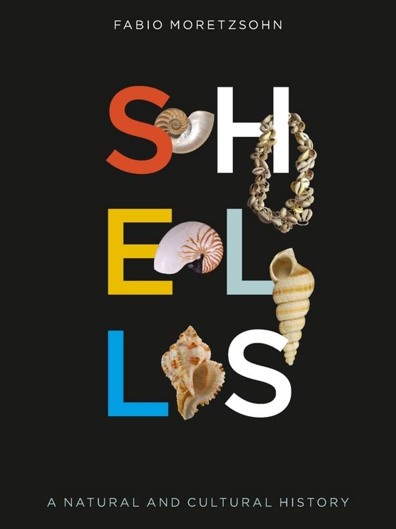 Produktbild: Shells