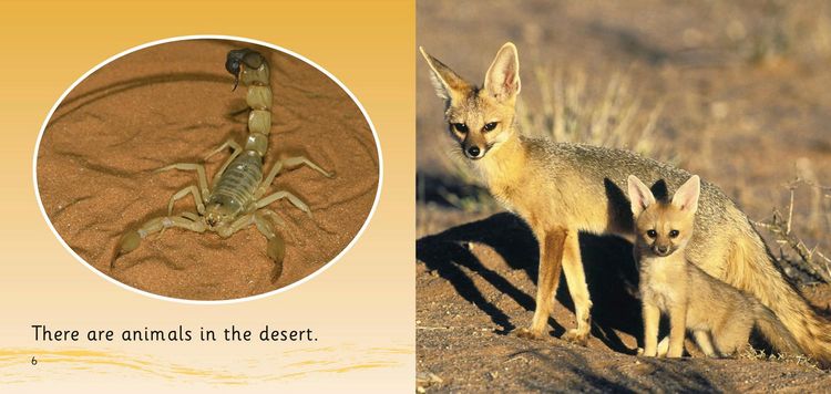 Produktbild: In the Desert