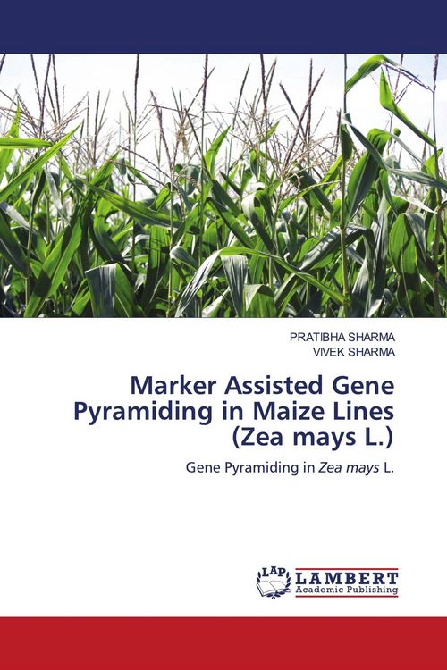 Produktbild: Marker Assisted Gene Pyramiding in Maize Lines (Zea mays L.)