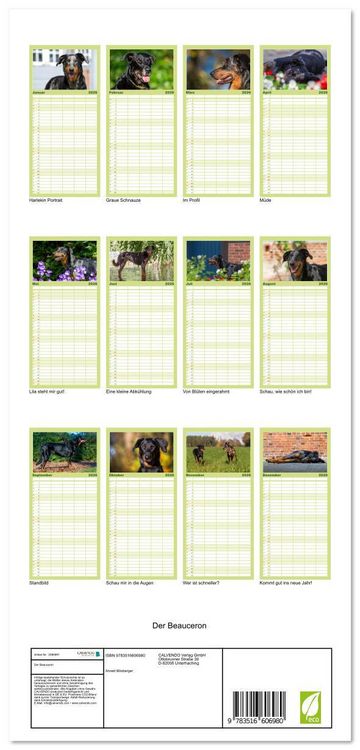 Produktbild: Familienplaner 2026 - Der Beauceron mit 5 Spalten (Wandkalender, 21 x 45 cm) CALVENDO
