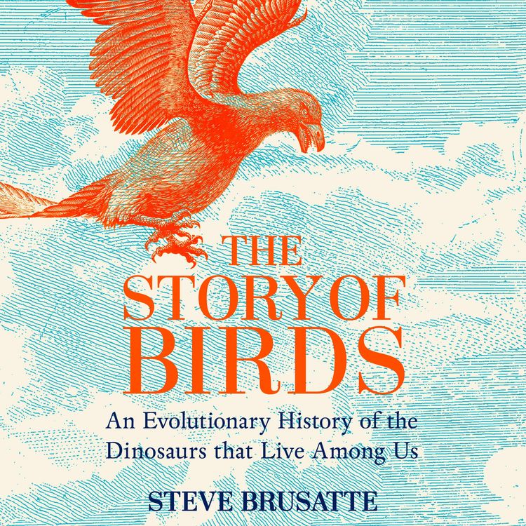 Produktbild: The Story of Birds