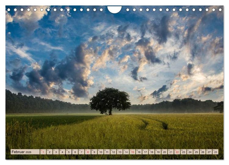 Produktbild: Horizonte zum Tr&auml;umen (Wandkalender 2026 DIN A4 quer), CALVENDO Monatskalender