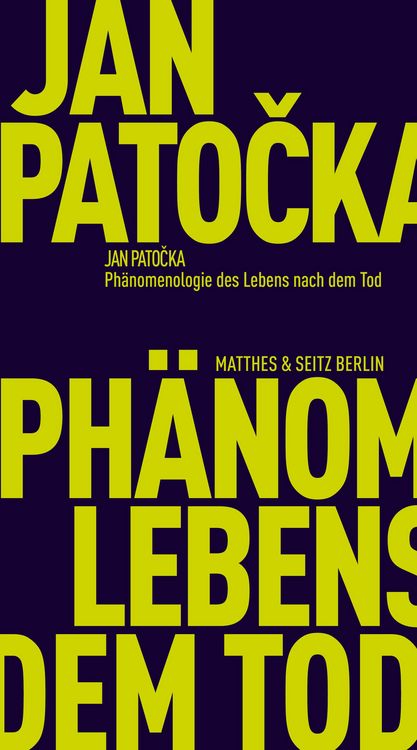 Produktbild: Ph&auml;nomenologie des Lebens nach dem Tod
