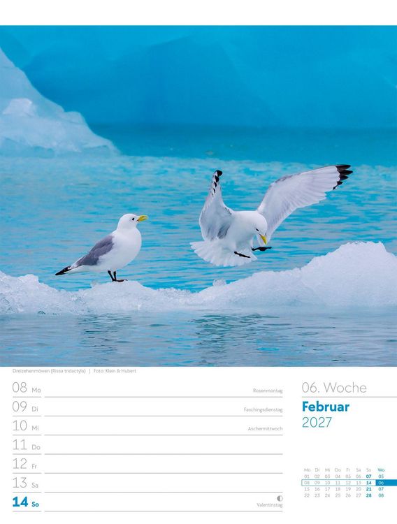 Produktbild: V&ouml;gel Wochenplaner Kalender 2027