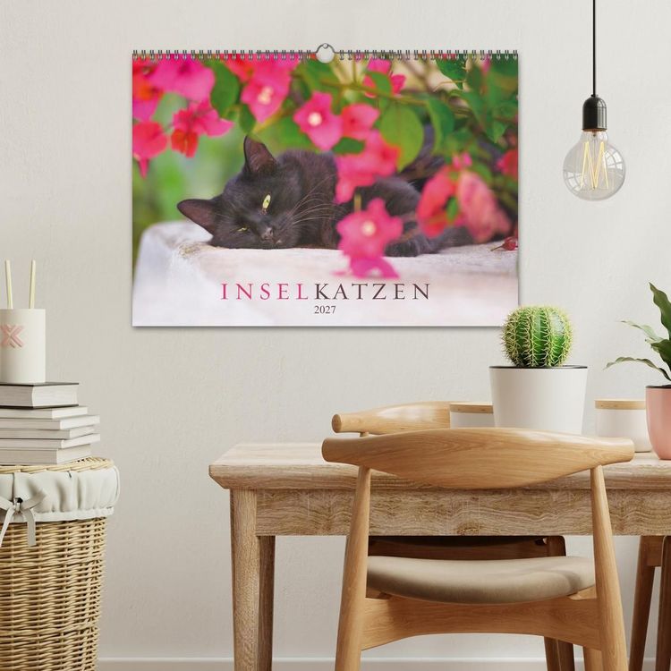Produktbild: Inselkatzen (Wandkalender 2027 DIN A3 quer), CALVENDO Monatskalender