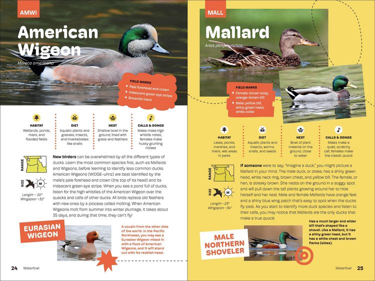 Produktbild: Birds of the Pacific Northwest for Kids