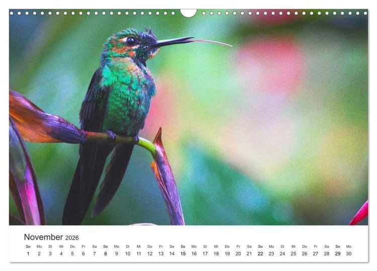 Produktbild: Costa Rica - exotische Tierwelt und unber&uuml;hrte Natur (Wandkalender 2026 DIN A3 quer), CALVENDO Monatskalender