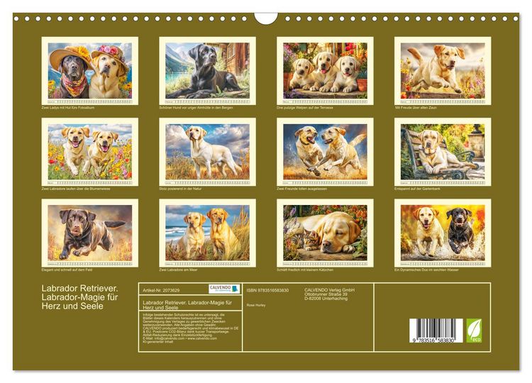 Produktbild: Labrador Retriever. Labrador-Magie f&uuml;r Herz und Seele (Wandkalender 2026 DIN A3 quer), CALVENDO Monatskalender