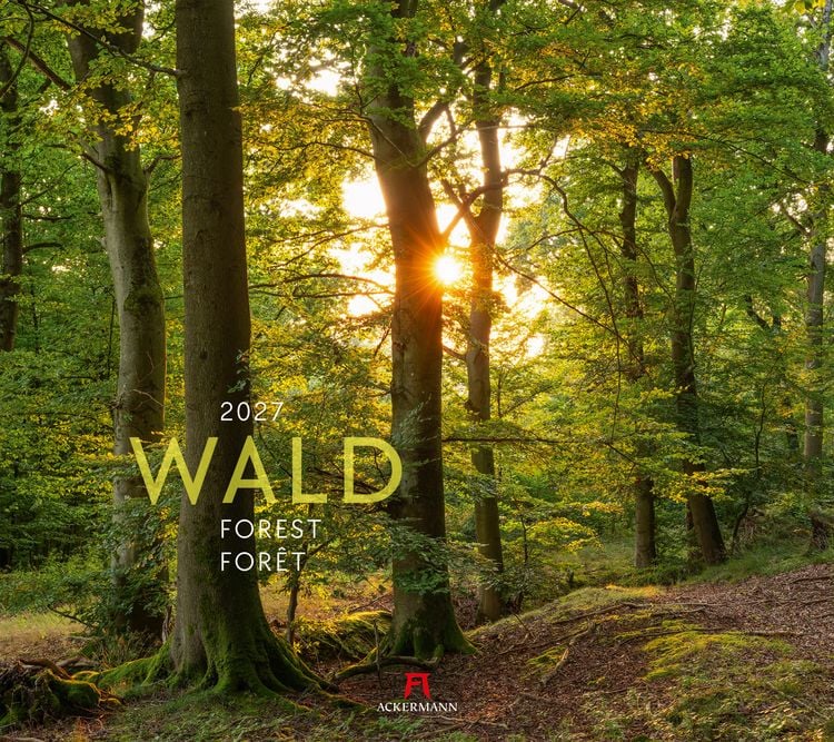 Produktbild: Wald Kalender 2027