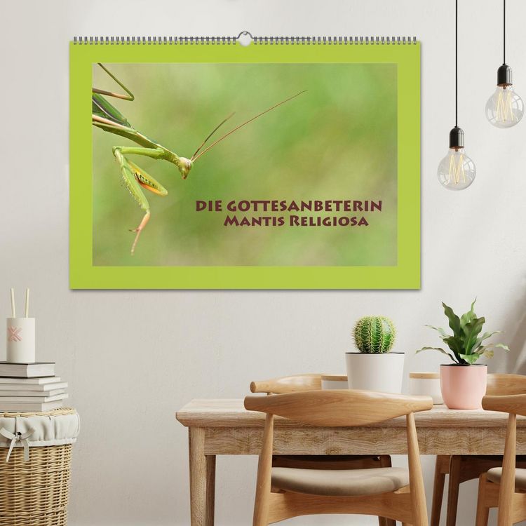 Produktbild: Die Gottesanbeterin Mantis Religiosa (Wandkalender 2026 DIN A2 quer), CALVENDO Monatskalender