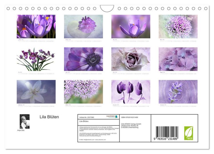 Produktbild: Lila Bl&uuml;ten (Wandkalender 2026 DIN A4 quer), CALVENDO Monatskalender